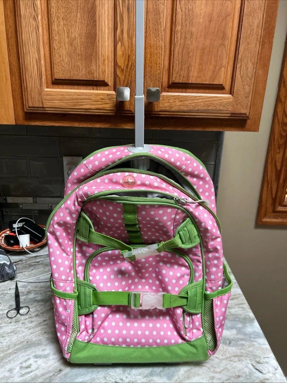 Pottery barn kids rolling backpack travel bag pink telescope handle